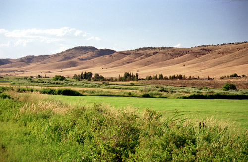 esor8.jpg